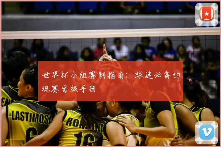 世界杯小组赛制指南：球迷必备的观赛晋级手册