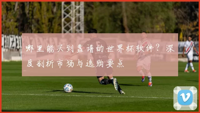 哪里能买到靠谱的世界杯软件?深度剖析市场与选购要点