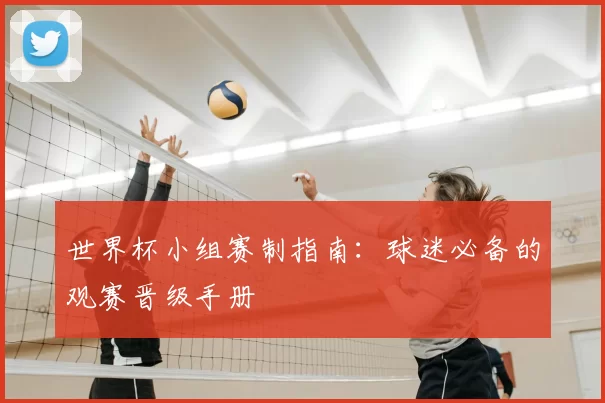 世界杯小组赛制指南:球迷必备的观赛晋级手册