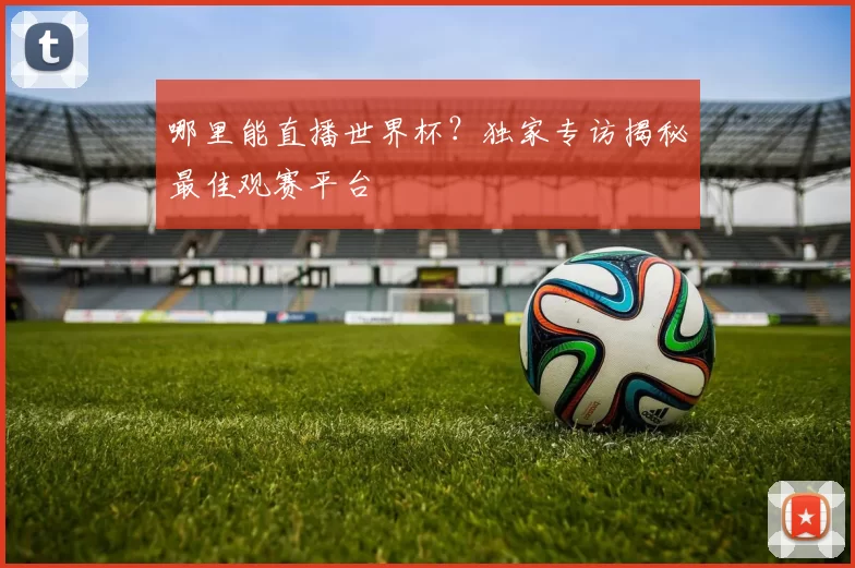 哪里能直播世界杯?独家专访揭秘最佳观赛平台