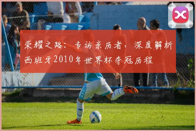 荣耀之路:专访亲历者,深度解析西班牙2010年世界杯夺冠历程