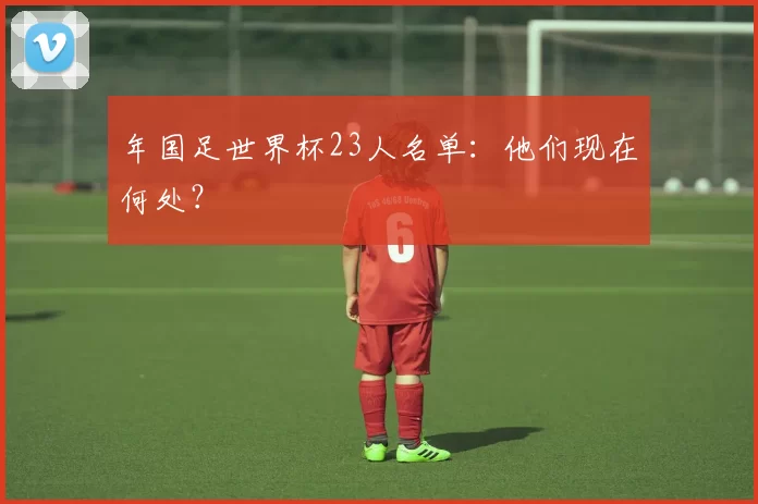年国足世界杯23人名单:他们现在何处?