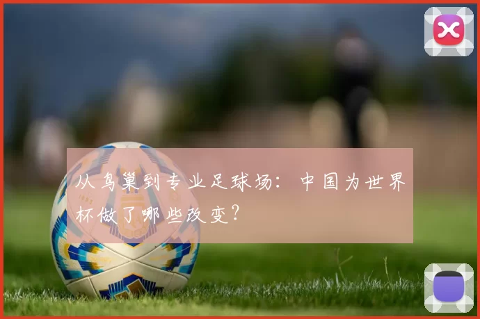 从鸟巢到专业足球场:中国为世界杯做了哪些改变?