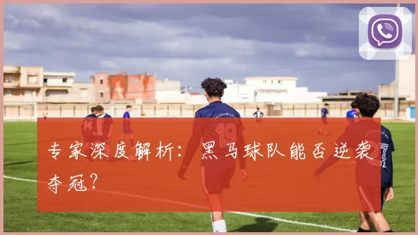 专家深度解析：黑马球队能否逆袭夺冠？