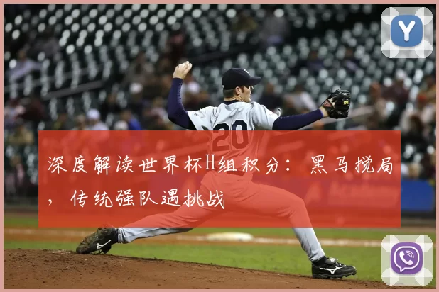 深度解读世界杯H组积分:黑马搅局,传统强队遇挑战