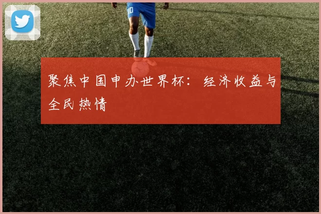聚焦中国申办世界杯:经济收益与全民热情