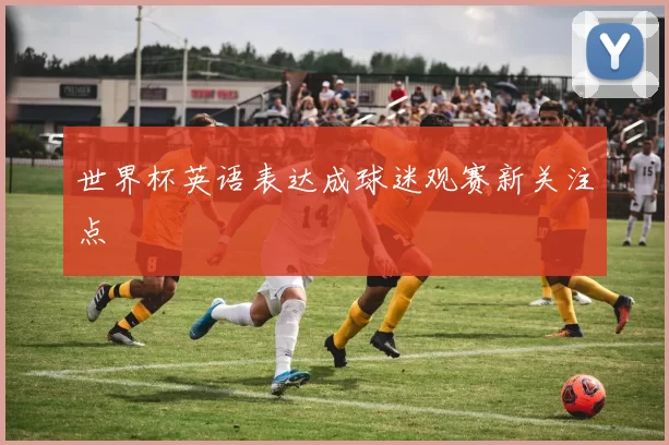 世界杯英语表达成球迷观赛新关注点