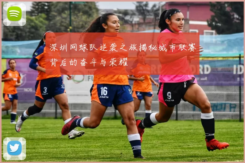 深圳网球队逆袭之旅揭秘城市联赛背后的奋斗与荣耀