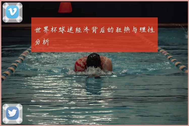 世界杯球迷经济背后的狂热与理性分析