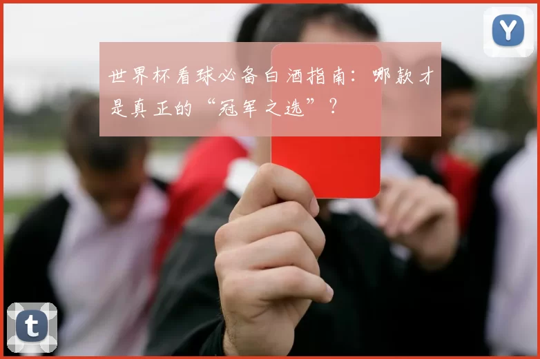 世界杯看球必备白酒指南:哪款才是真正的“冠军之选”?