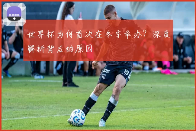 世界杯为何首次在冬季举办?深度解析背后的原因