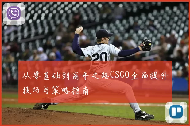 从零基础到高手之路CSGO全面提升技巧与策略指南