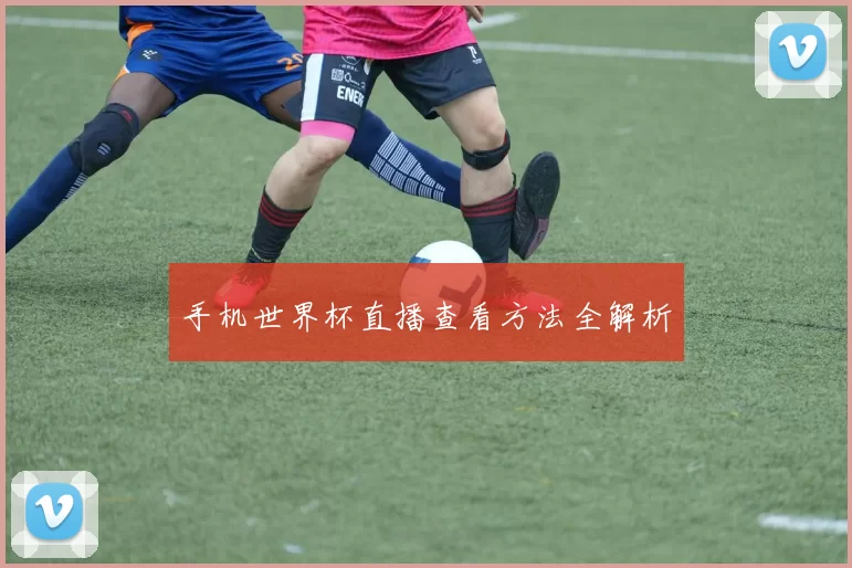 手机世界杯直播查看方法全解析