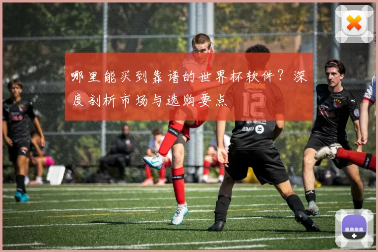 哪里能买到靠谱的世界杯软件?深度剖析市场与选购要点