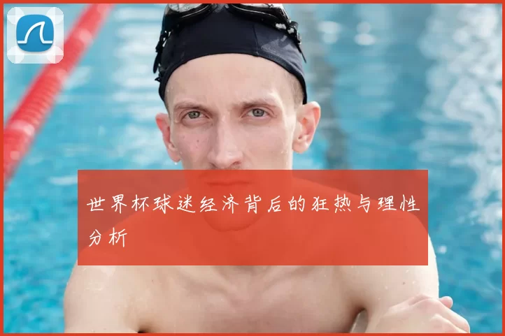 世界杯球迷经济背后的狂热与理性分析