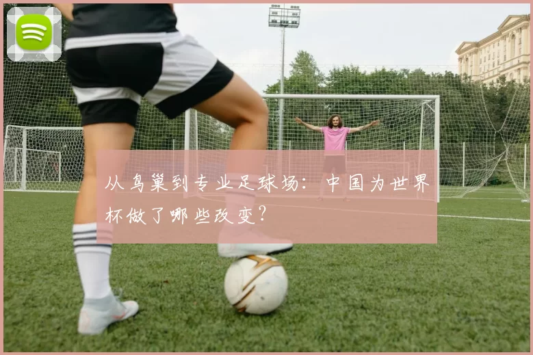 从鸟巢到专业足球场:中国为世界杯做了哪些改变?